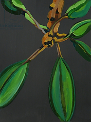Постер Бартон Дебора (совр) Frangipani Leaves, Bequia, 2008 Постер Бартон Дебора (совр) Frangipani Leaves, Bequia, 2008