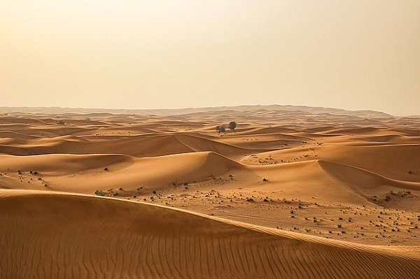 Пески пустыни 1