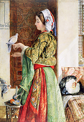 Постер Льюис Джон Girl with Two Caged Doves, Cairo, 1864 Постер Льюис Джон Girl with Two Caged Doves, Cairo, 1864