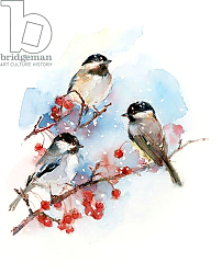 Постер Килинг Джон (совр) Chickadees with Berries, 2017, Постер Килинг Джон (совр) Chickadees with Berries, 2017,