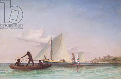 Постер Бэйнс Томас The Long Boat of the Messenger attacked by Natives Постер Бэйнс Томас The Long Boat of the Messenger attacked by Natives