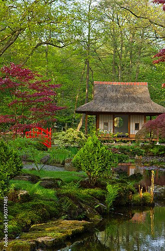 Голландия. Гаага. Японский сад