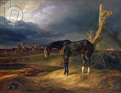 Постер Альбрехт Адам Ownerless Horse on the Battlefield at Moshaisk in 1812, 1834 Постер Альбрехт Адам Ownerless Horse on the Battlefield at Moshaisk in 1812, 1834