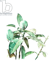 Постер Денис Лаура Verde, 2018 Постер Денис Лаура Verde, 2018