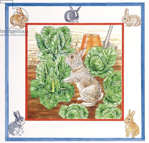 A Rabbit in the Cabbage Patch