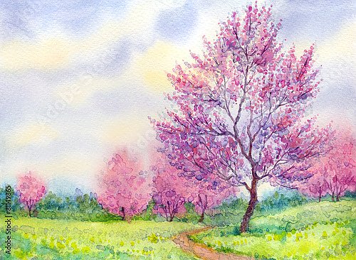 Цветущее дерево в поле