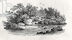 Постер Бевик Томас A bend in the river, from 'Water Birds', published 1804 Постер Бевик Томас A bend in the river, from 'Water Birds', published 1804