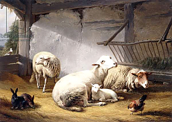 Постер Веррбекховен Евген Sheep, Rabbits and a Chicken in a Barn, 1859 Постер Веррбекховен Евген Sheep, Rabbits and a Chicken in a Barn, 1859
