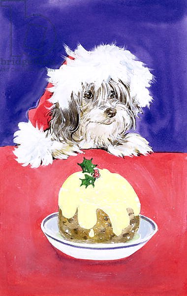 The Christmas Pudding