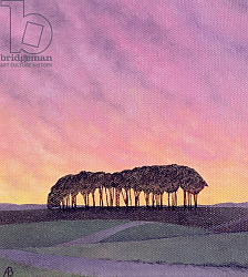Постер Брэйн Энн (совр) Distant Pines Постер Брэйн Энн (совр) Distant Pines