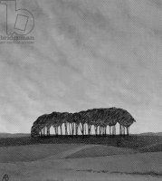 Черно-белое