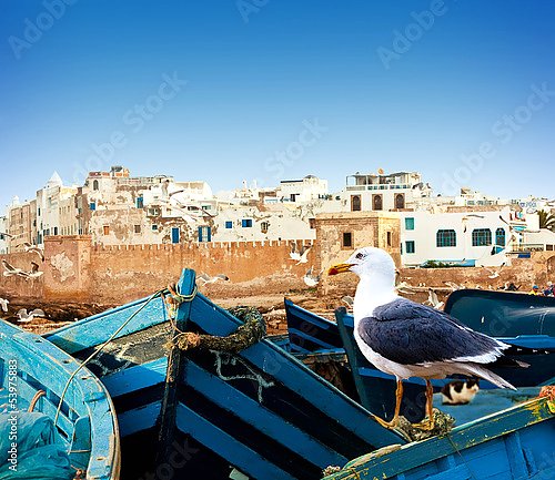 Синие рыбацкие лодки и чайка на берегу океана в Эс-Сувейра, Марокко