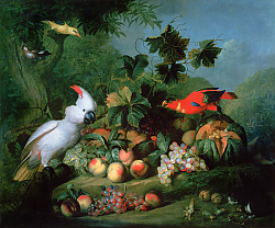 Постер Богдани Якоб Fruit and Birds Постер Богдани Якоб Fruit and Birds