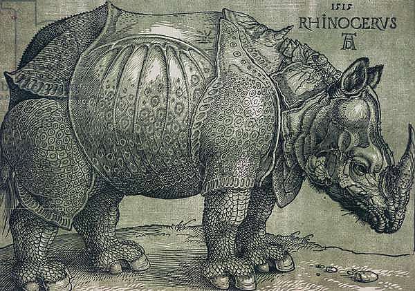 The Rhinoceros, 1515 1