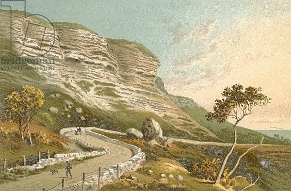 The Undercliff Road--Isle of Wight