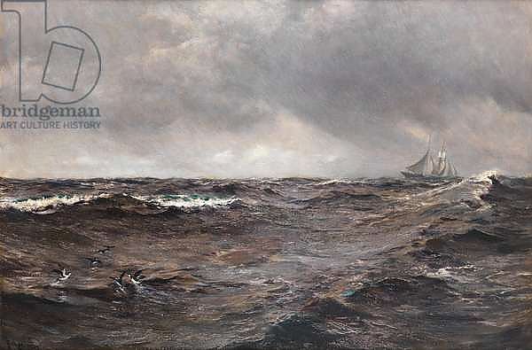 The Deep Sea Rain, 1907