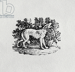 Постер Бевик Томас A Hound from 'History of Quadrupeds', 19th century Постер Бевик Томас A Hound from 'History of Quadrupeds', 19th century