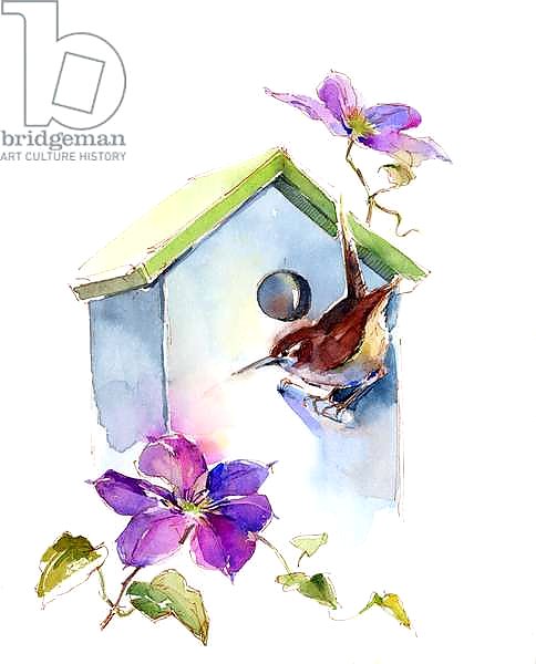 Wren with birdhouse and clematis, 2016,