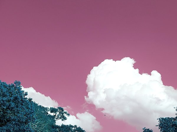 Розовое небо  с облаками