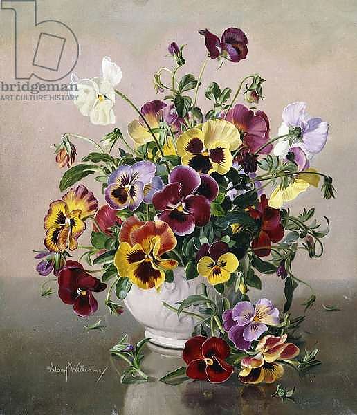 A Still Life with Pansies,