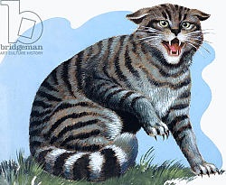 Постер Дэвис Р. (жив, дет) Wild Cat, from 'Treasure', 1966 Постер Дэвис Р. (жив, дет) Wild Cat, from 'Treasure', 1966