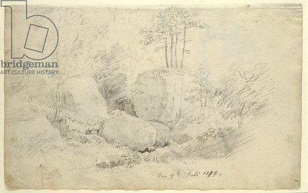 Boulders in Woodland, 1800