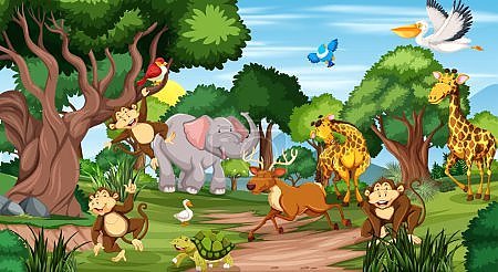 Дикие животные