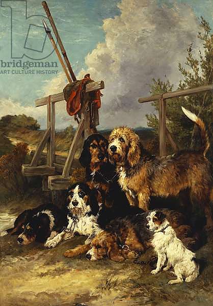 Otter Hounds by a Bridge - Tired Out, 1881