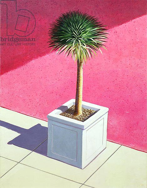 Small palm, 1995