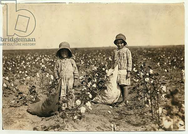 Jewel and Harold Walker, 6 and 5 years old, pick 20 to 25 pounds of cotton a day at Geronimo,Comanche County Oklahoma, 1916