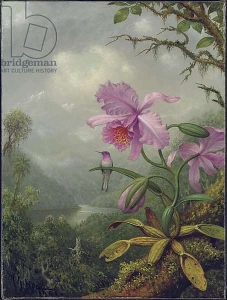 Hummingbird Perched on an Orchid Plant, 1901