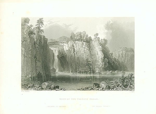 View of the Passaie Falls 1