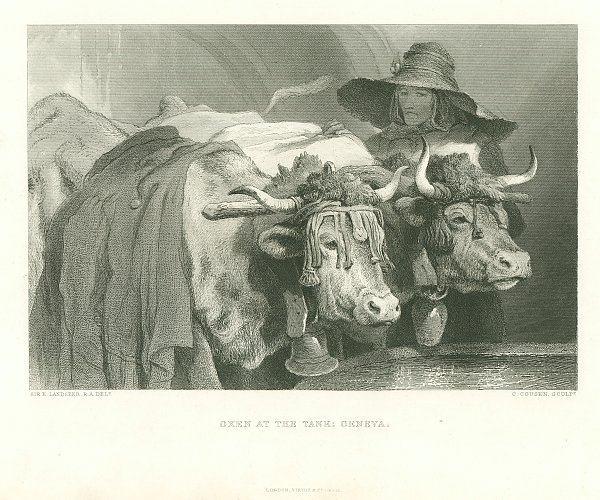 Oxen at the Tank: Geneva