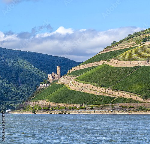 Постер Германия. Виноградники. Долина Рейна и замок Эренфельз