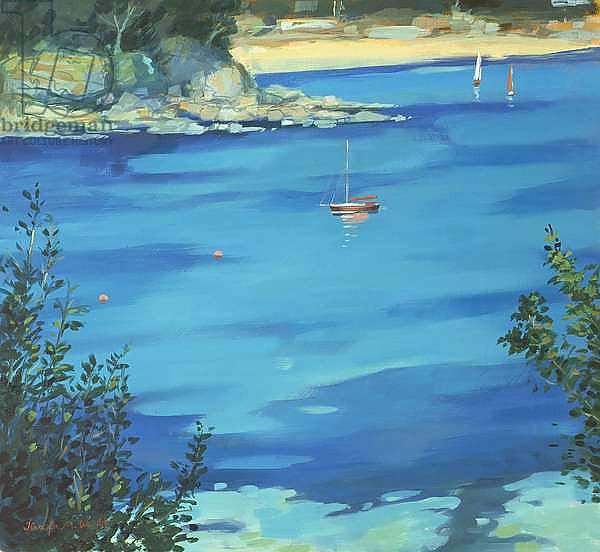 Salcombe, Moored Yacht, Southsands, 2000