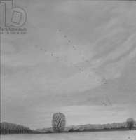 Черно-белое