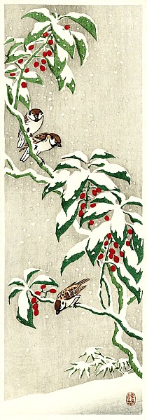 Воробьи на снежном ягодном кустарнике (1900 - 1945)