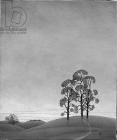 Черно-белое