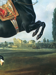 Постер Гамильтон Йоханн A black horse performing the Courbette 2 Постер Гамильтон Йоханн A black horse performing the Courbette 2