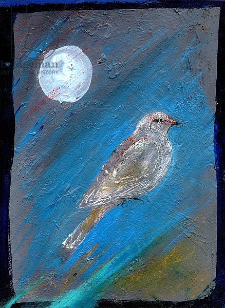 Moon Bird, 2016,