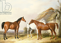 Постер Барроуд Уильям Outside the Stable, 1845 Постер Барроуд Уильям Outside the Stable, 1845