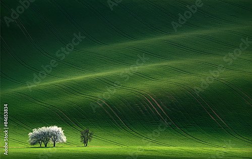 Чехия. Переливы зеленых полей Моравии