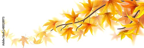 Осень. Кленовые листья