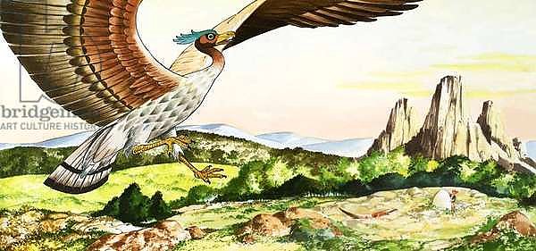 Sinbad the Sailor 13