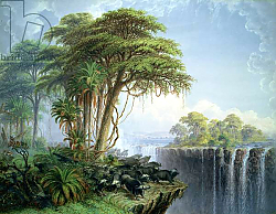 Постер Бэйнс Томас Buffalos Driven to the Edge of the Chasm opposite Garden Island, Victoria Falls Постер Бэйнс Томас Buffalos Driven to the Edge of the Chasm opposite Garden Island, Victoria Falls