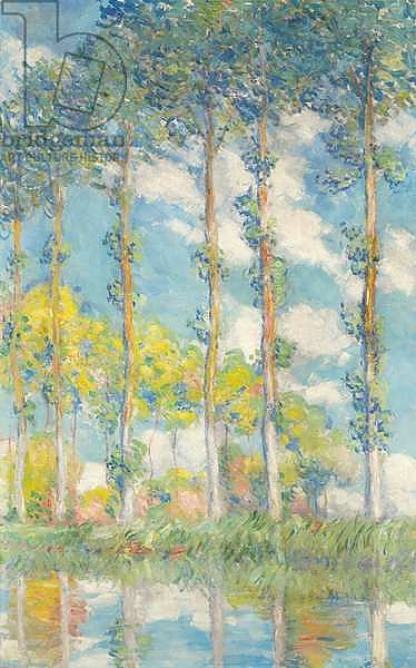 The Poplars; Les Peupliers, 1891