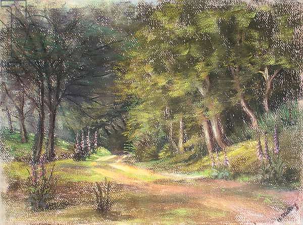 Walk in the Woods, Somerset, 1995