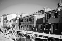 Черно-белое