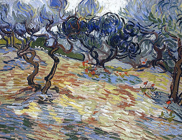 Оливковые деревья на холме, 1889