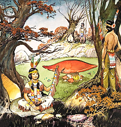 Постер Квинто Надир (дет) A Squaw and Braves, illustration from 'Peter Pan' by J.M. Barrie Постер Квинто Надир (дет) A Squaw and Braves, illustration from 'Peter Pan' by J.M. Barrie